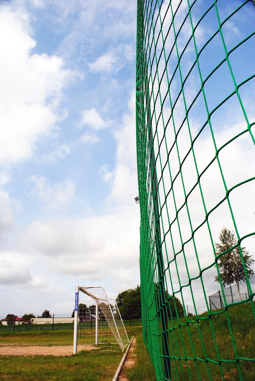 种战略思维 种战略思维