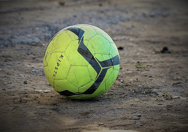 体育爱好者 体育爱好者