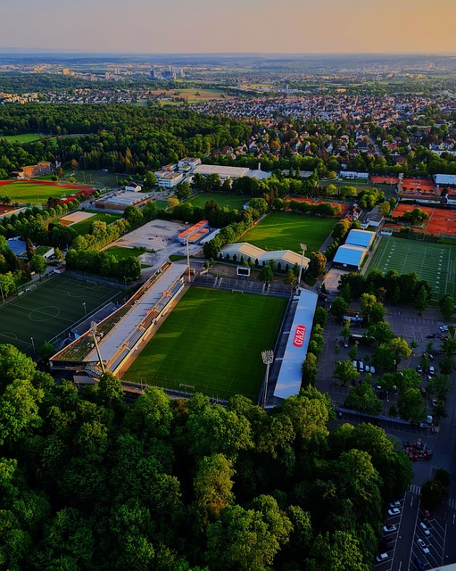 术和团队协 术和团队协