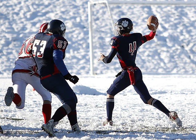 勤奋的训练 勤奋的训练