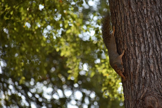 球员的情况 球员的情况